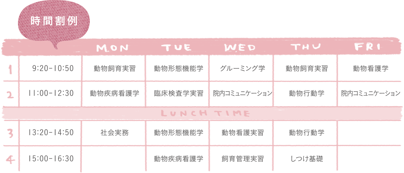 北海道どうぶつ 医療専門学校 北海道安達学園 ワンコとニャンコと毎日暮らすように学ぶ トリマー 動物看護師 ドッグトレーナーの専門学校です