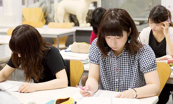 北海道どうぶつ 医療専門学校 北海道安達学園 ワンコとニャンコと毎日暮らすように学ぶ トリマー 動物看護師 ドッグトレーナーの専門学校です