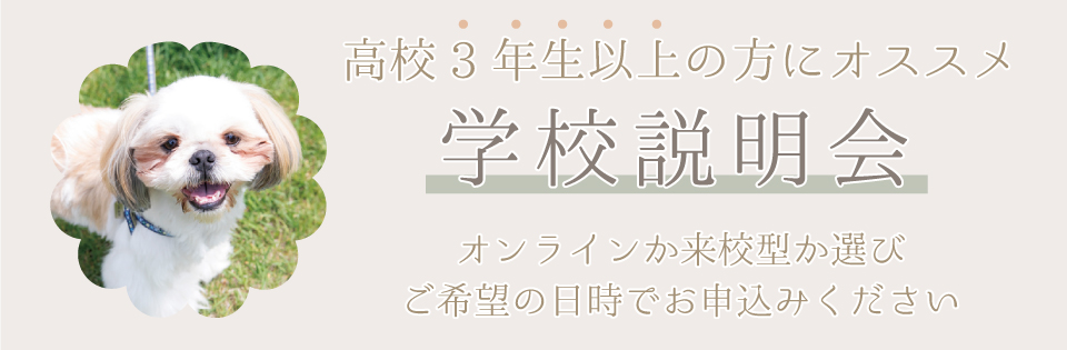 北海道どうぶつ 医療専門学校 北海道安達学園 ワンコとニャンコと毎日暮らすように学ぶ トリマー 動物看護師 ドッグトレーナーの専門学校です